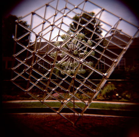 Lewis Ginter - Cube